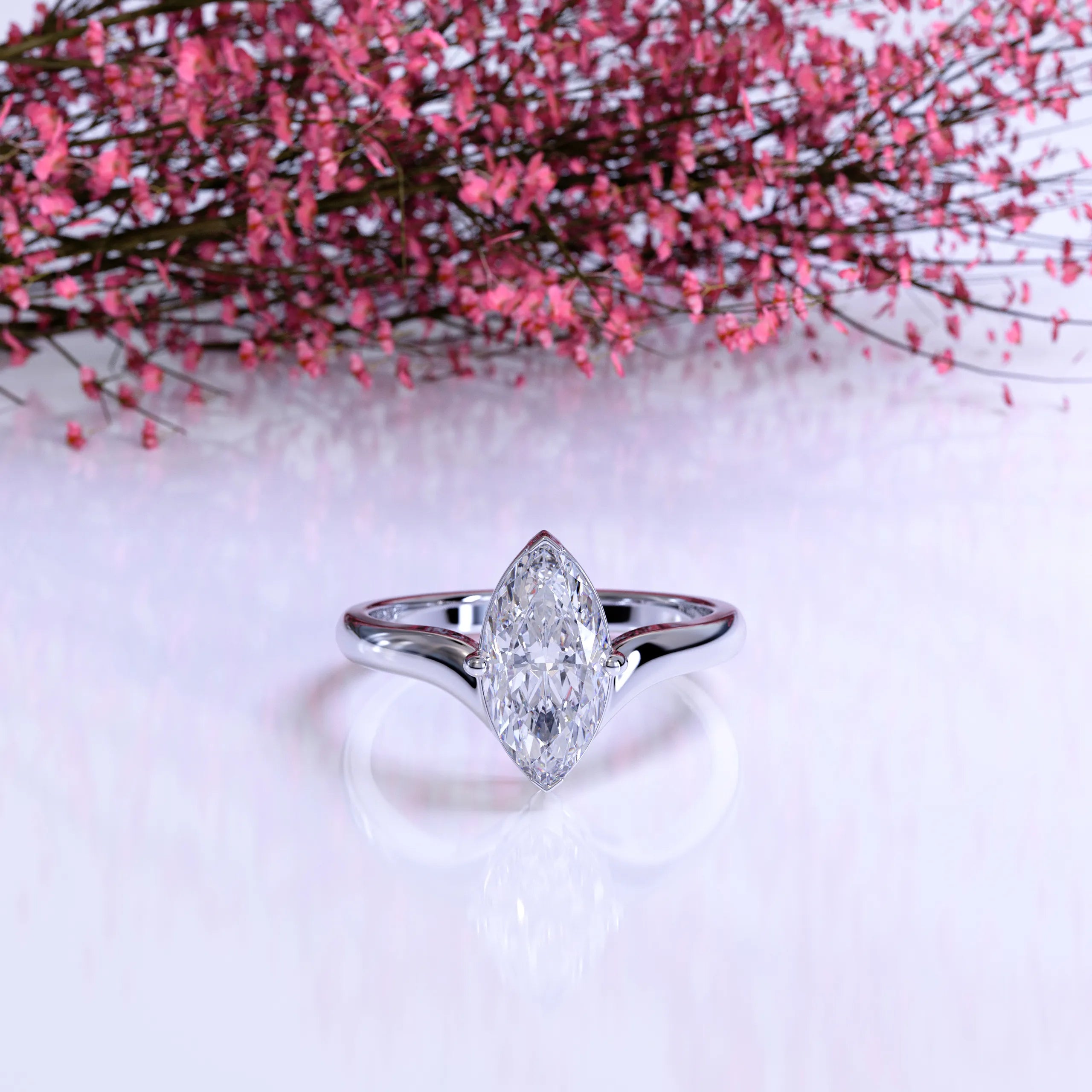 The V Marquise