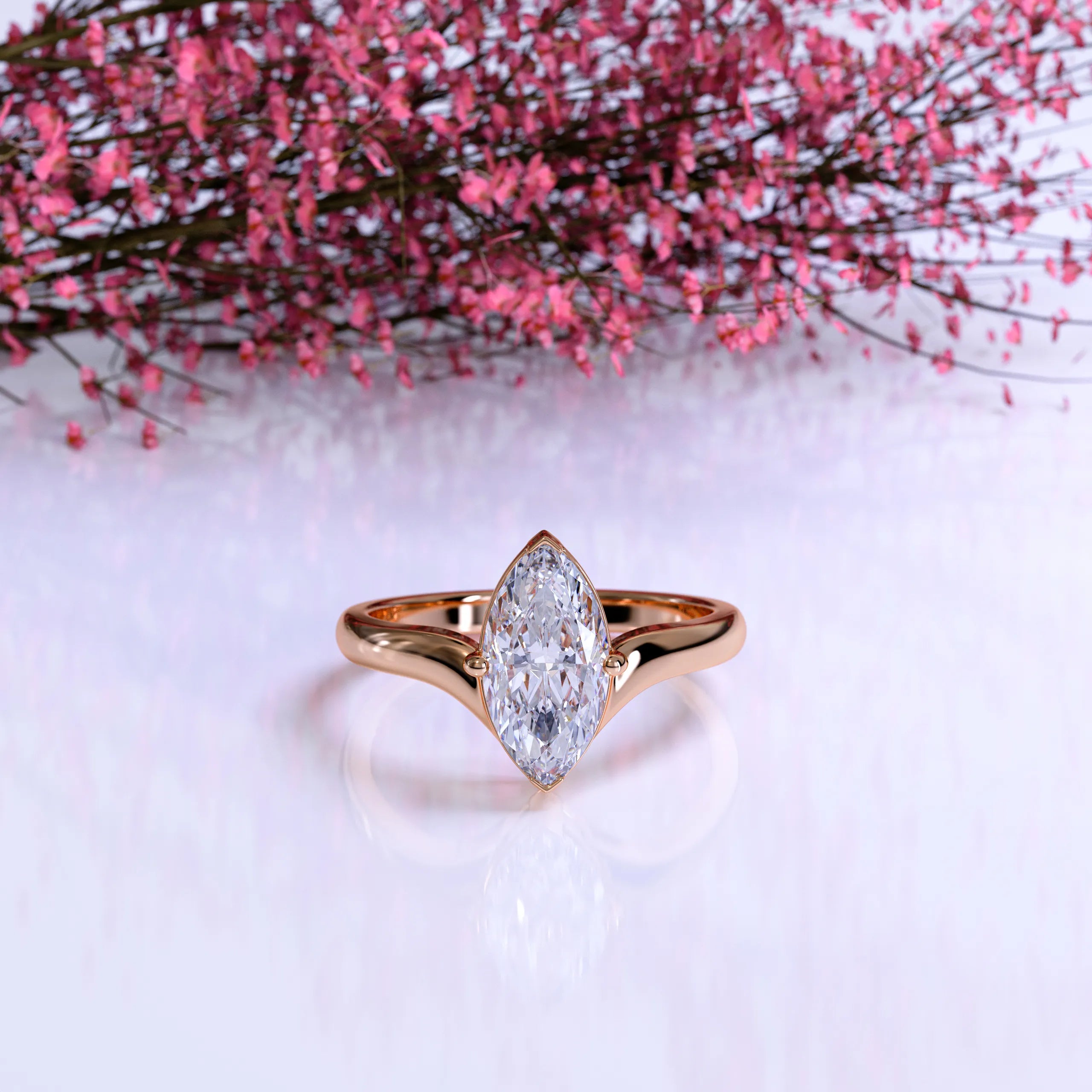 The V Marquise