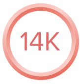14K Rose