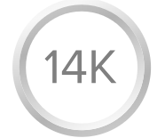 14K white