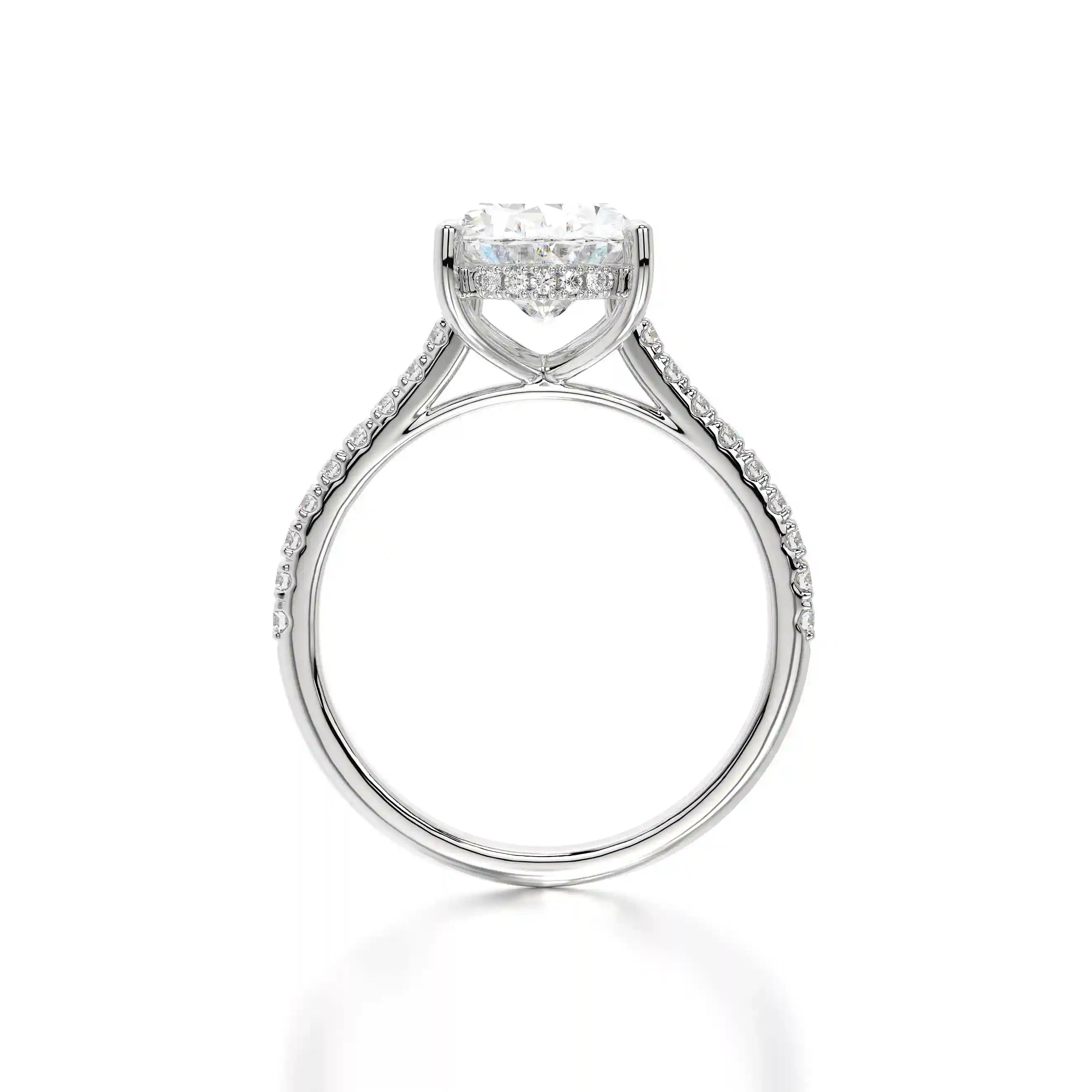 The Hidden Halo Oval