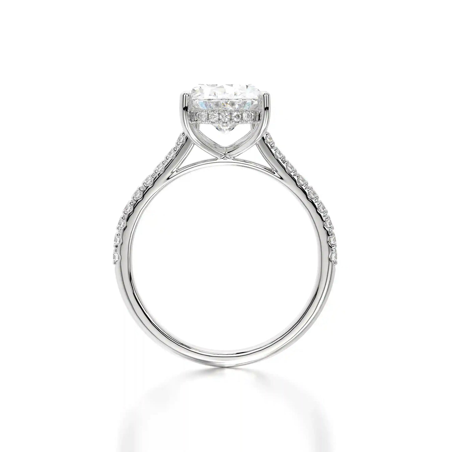 The Hidden Halo Oval