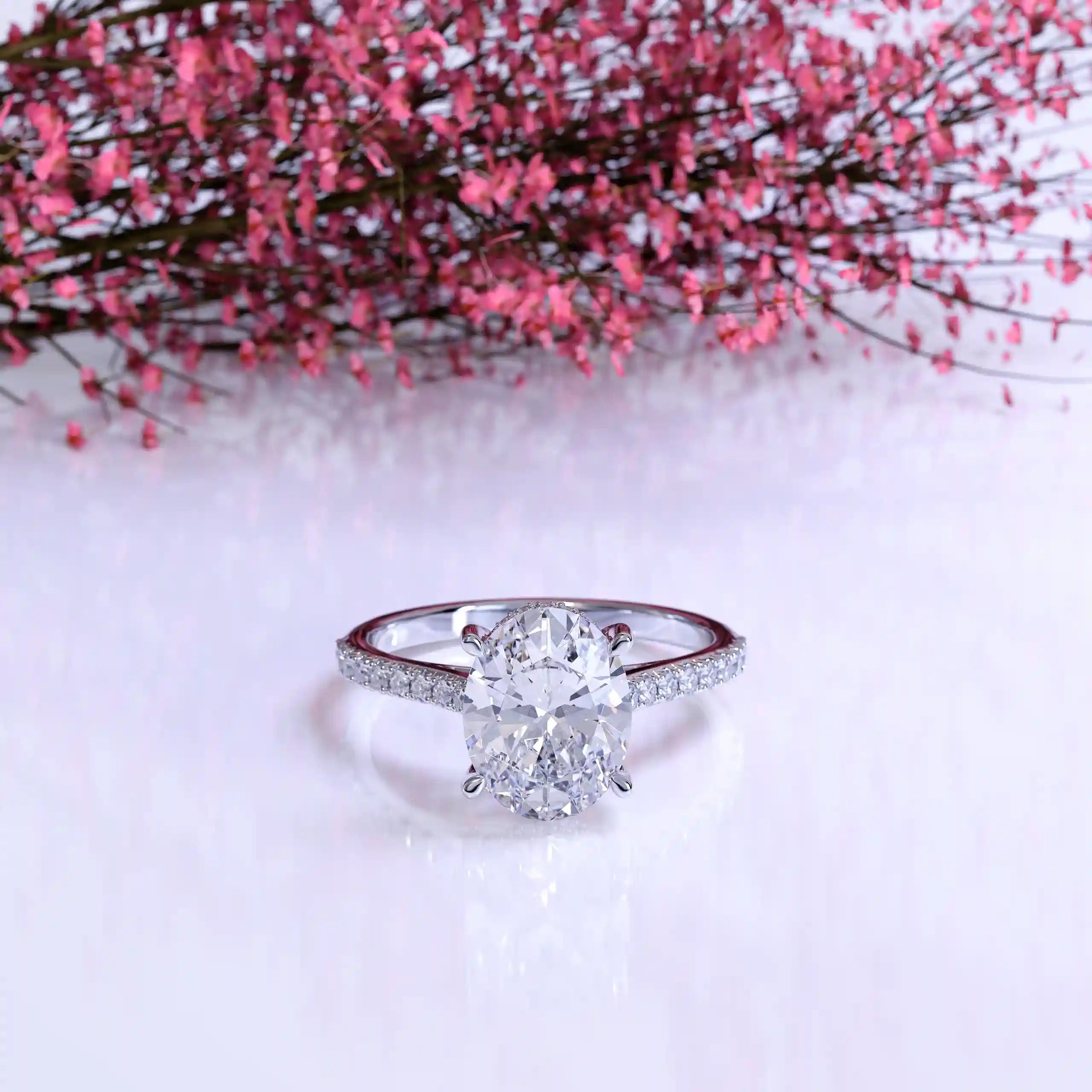 The Hidden Halo Oval