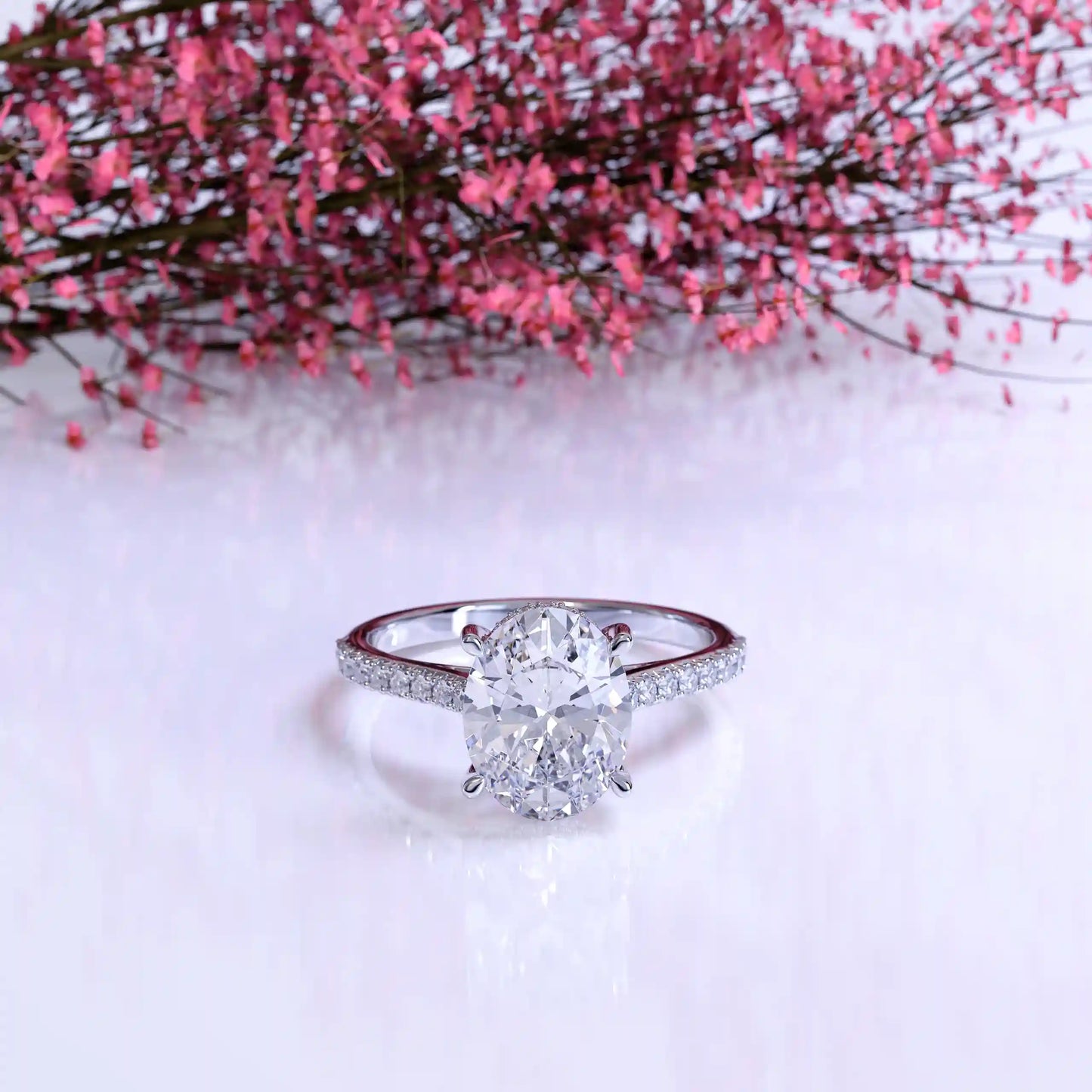 The Hidden Halo Oval