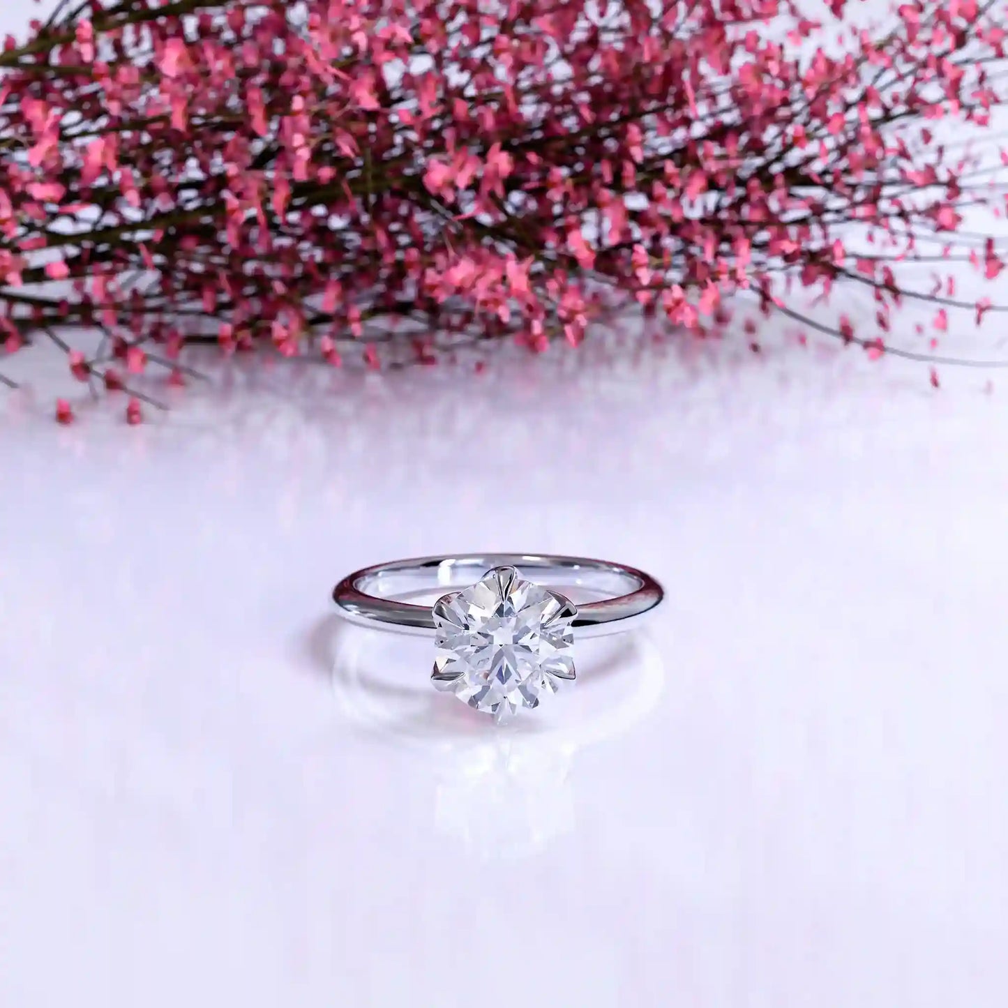 The Solitaire Rose