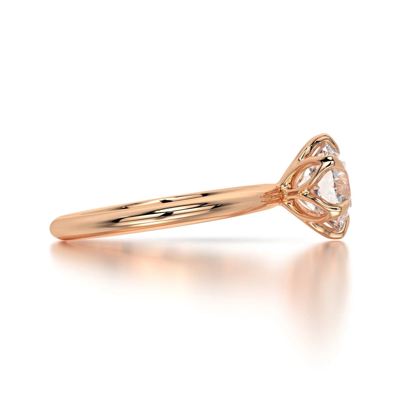 The Solitaire Rose