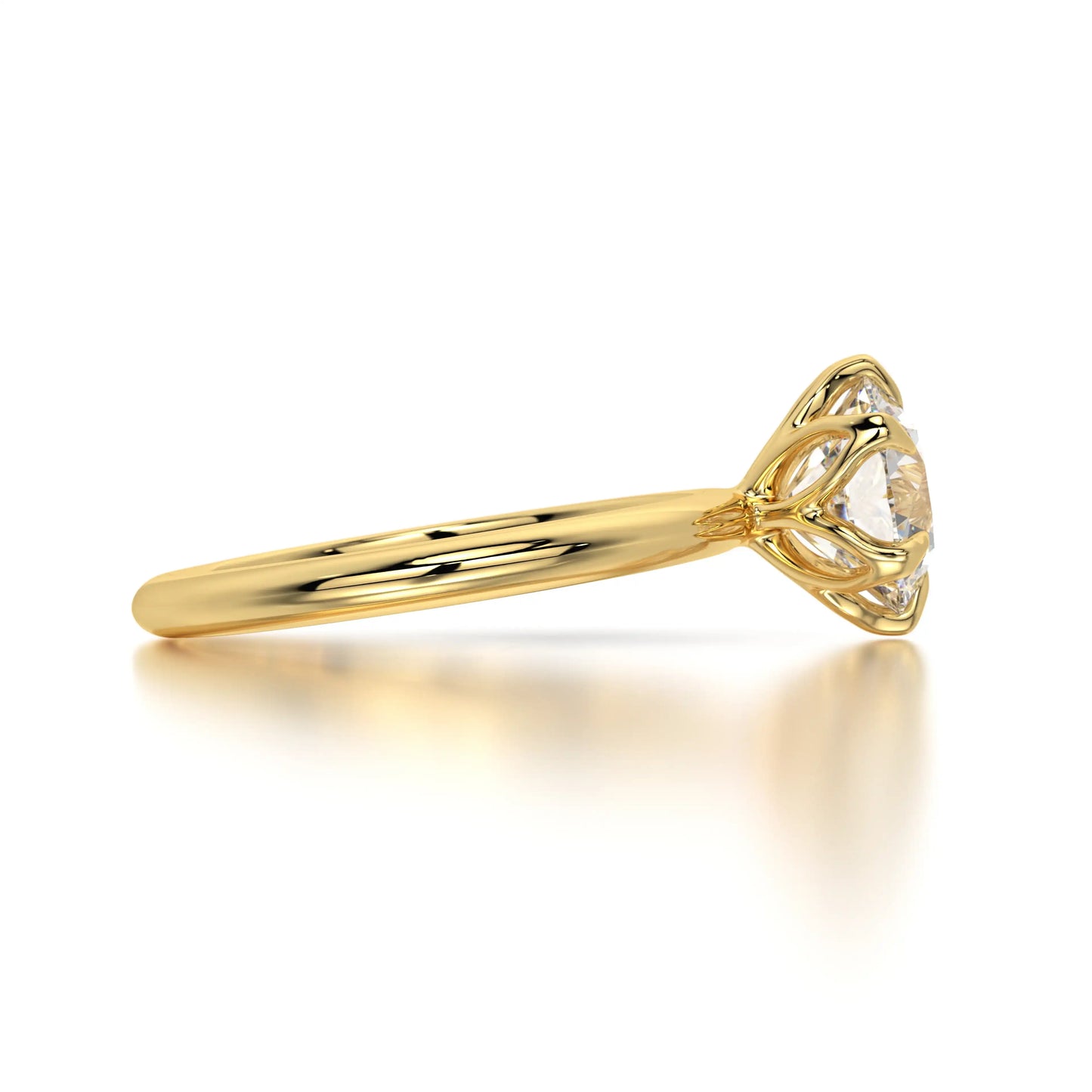 The Solitaire Rose