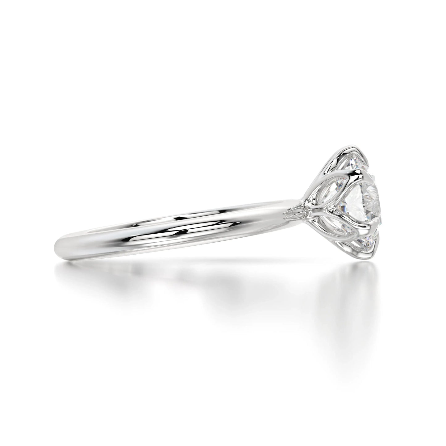 The Solitaire Rose