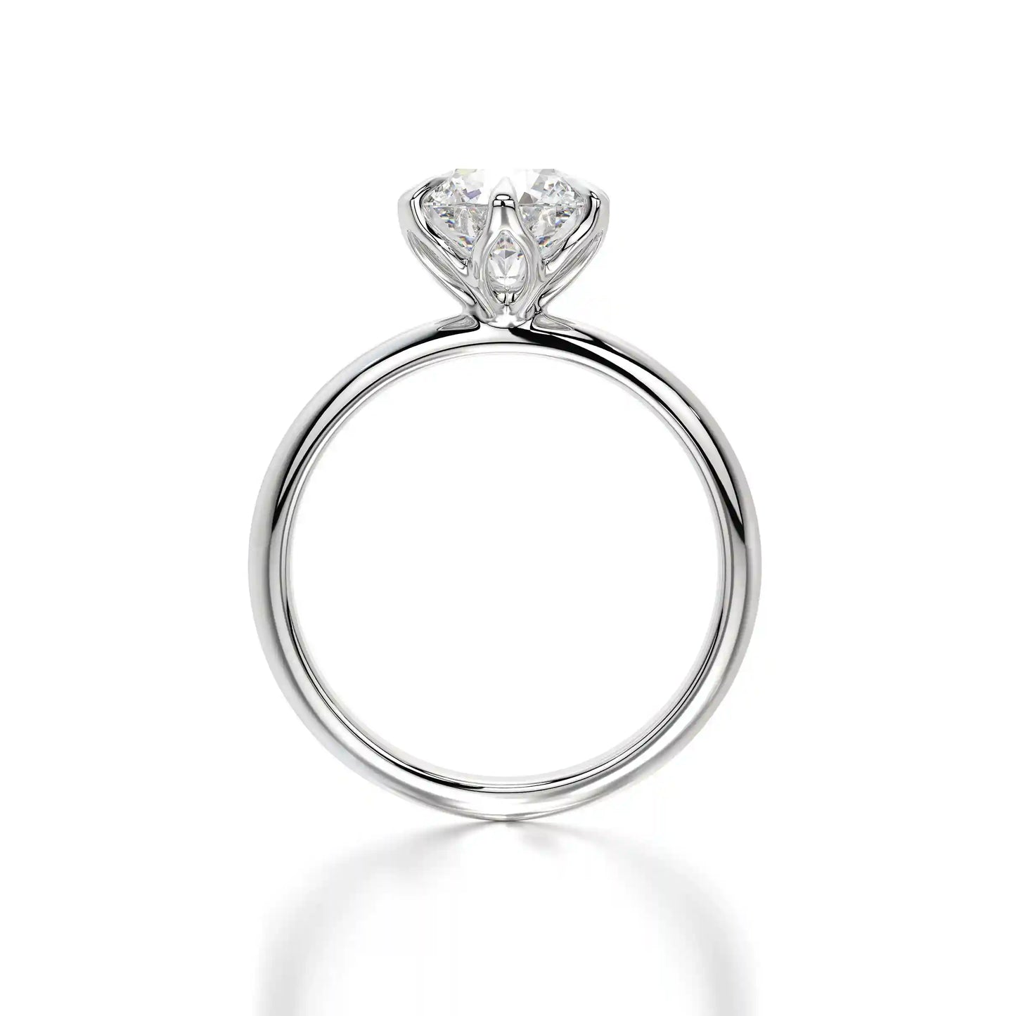 The Solitaire Rose