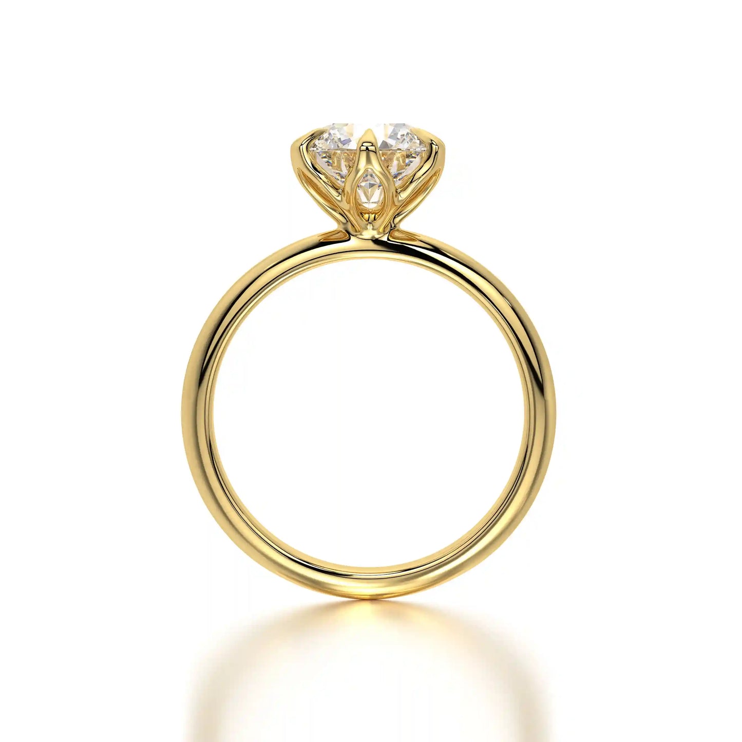 The Solitaire Rose
