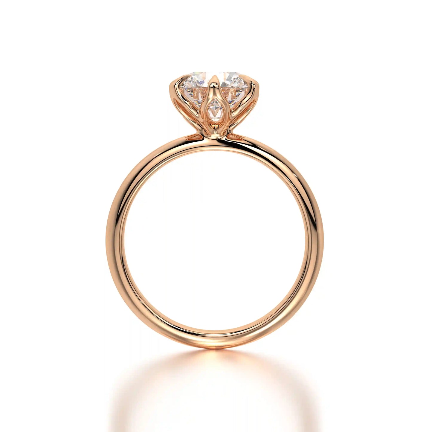 The Solitaire Rose