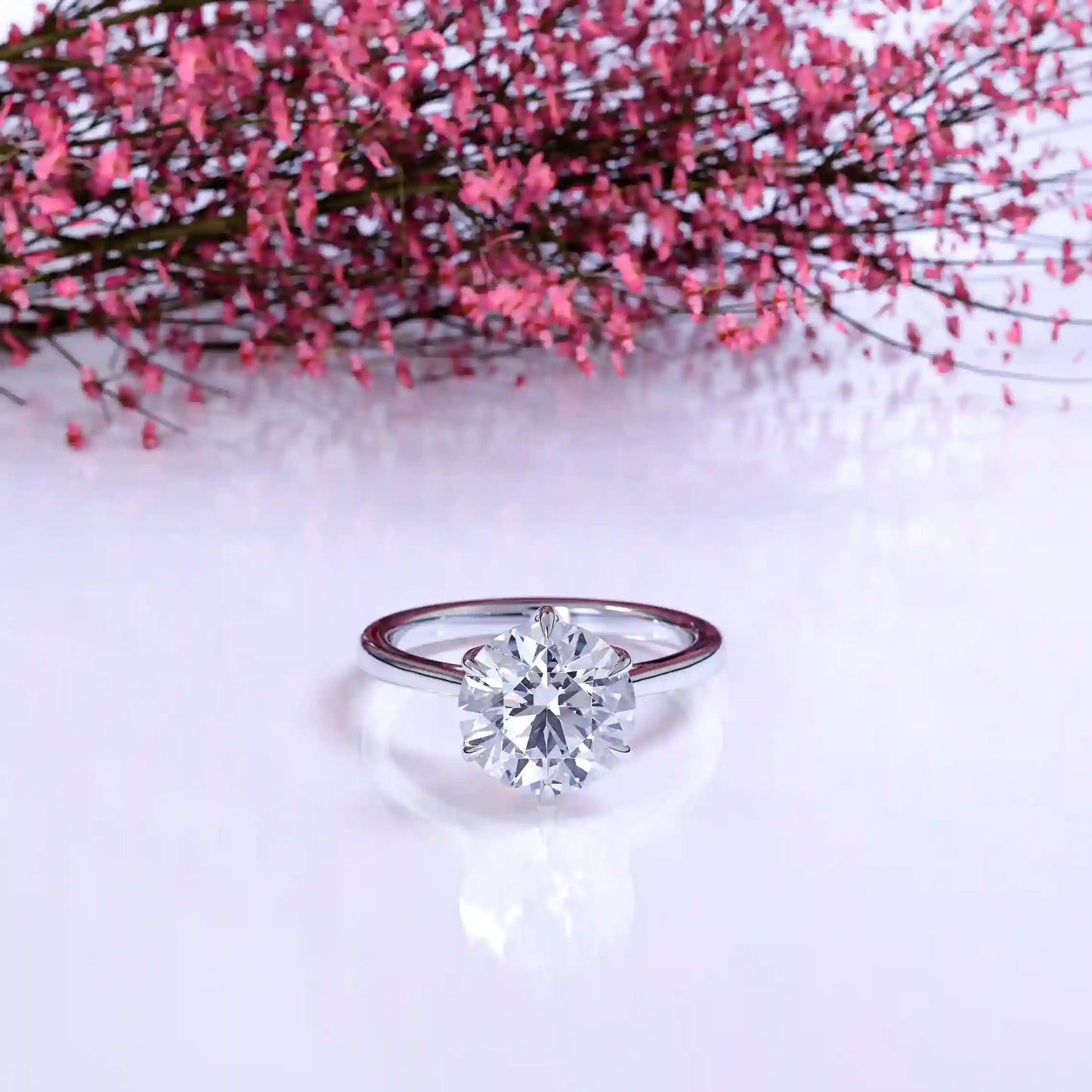 The Rose Round
