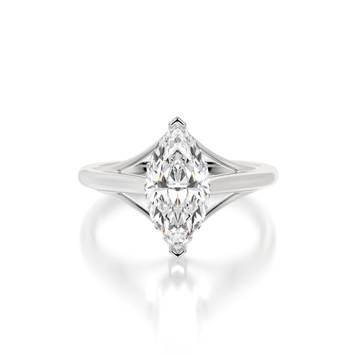 The Modern Marquise