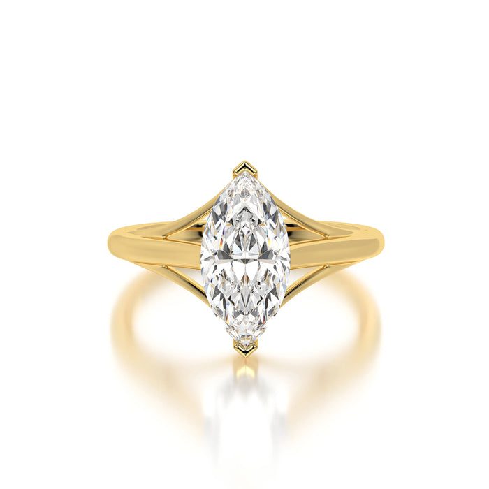 The Modern Marquise