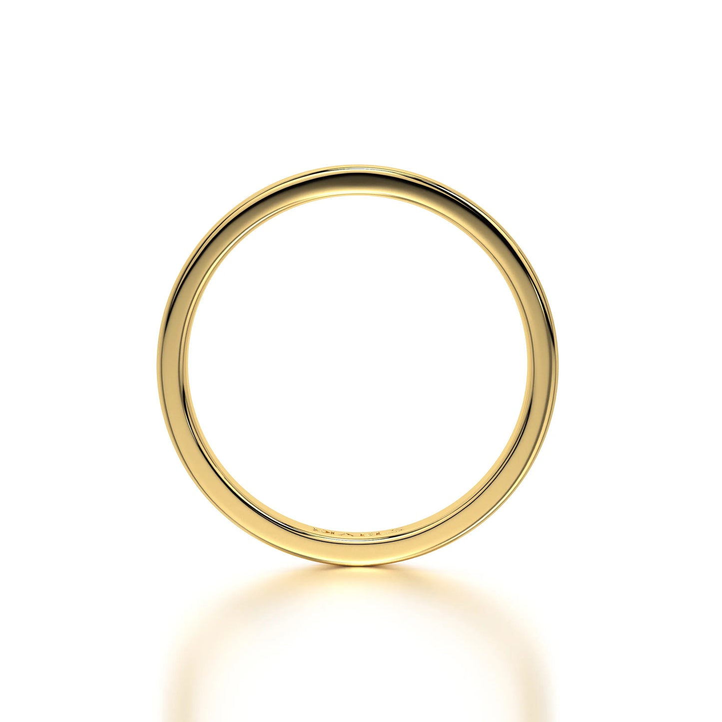 The Ethan Gold Band