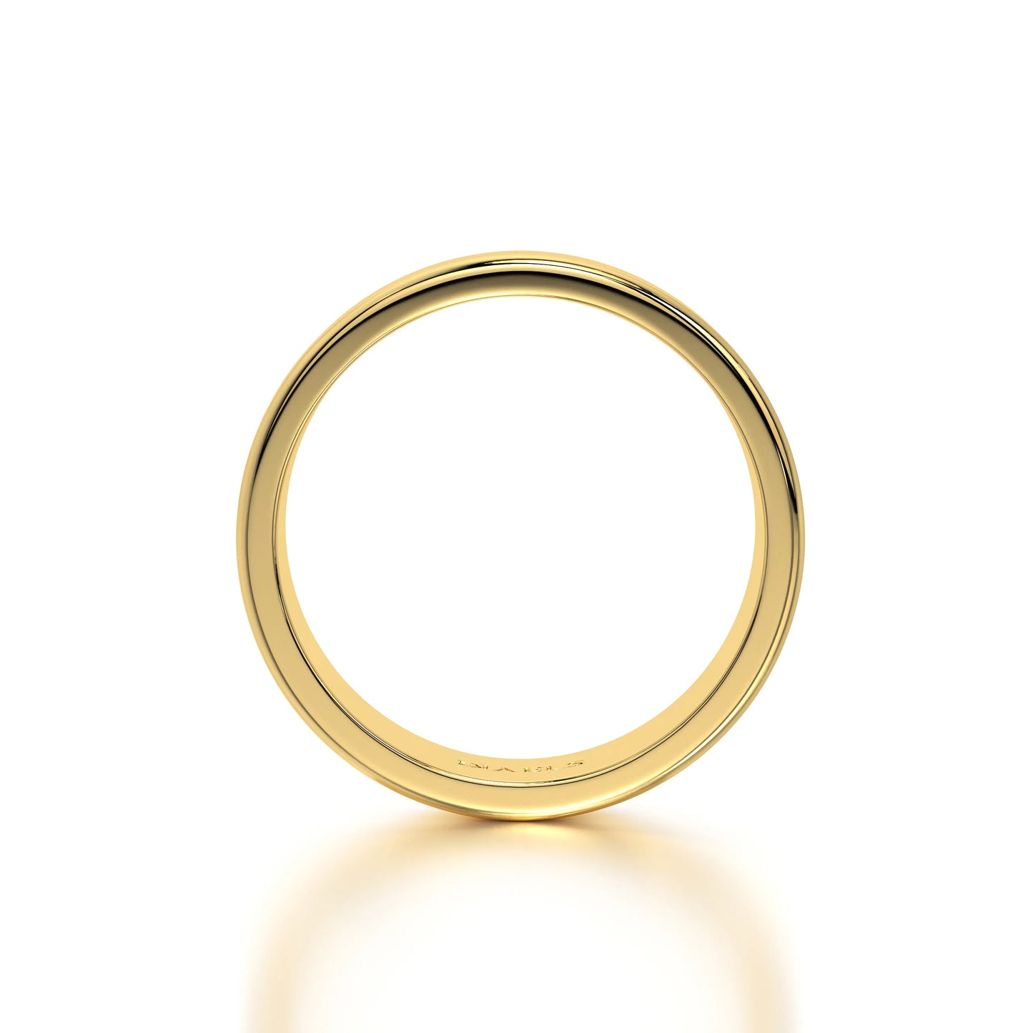 The Leonardo Gold Band