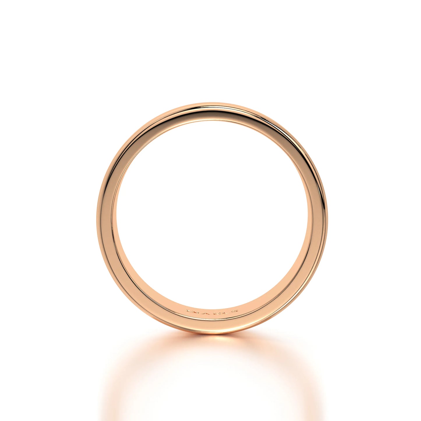 The Leonardo Gold Band