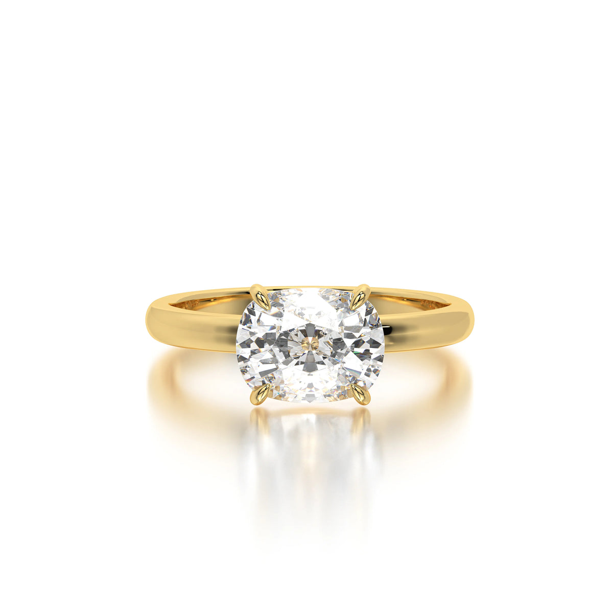 The Horizontal Elongated Cushion