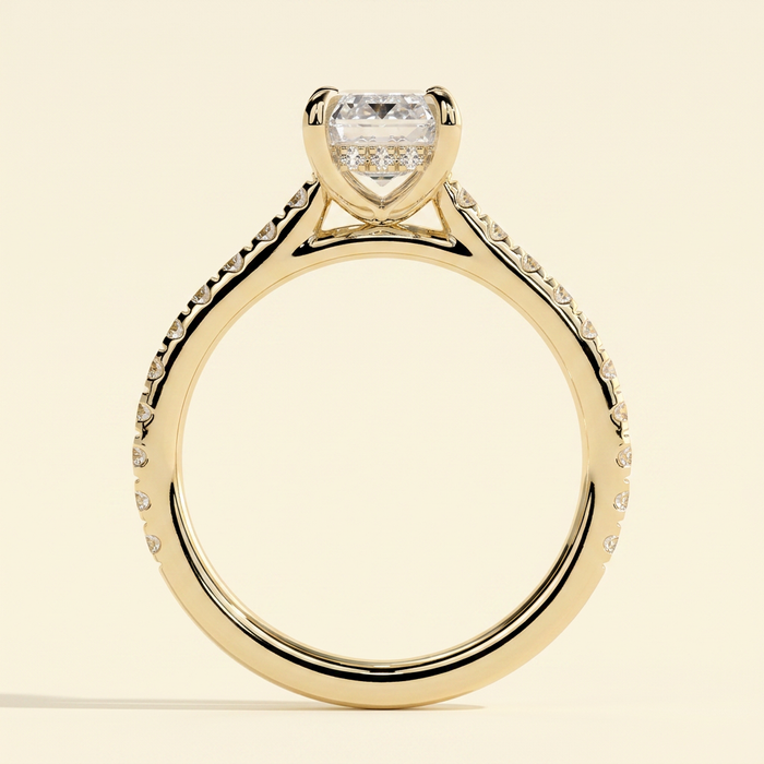 The Tamsin - Emerald Cut Lab Grown Diamond Cathedral Solitaire with Hidden Halo and Pave Band Engagement Ring