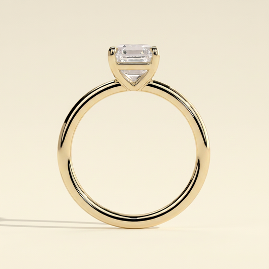 plain_02.png