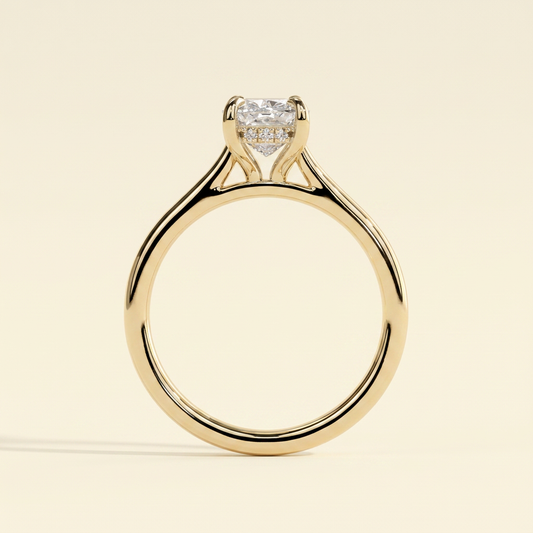 plain_02.png