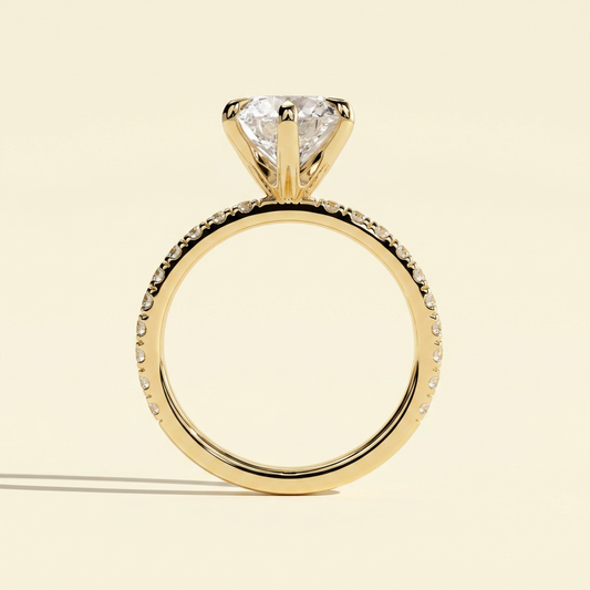 plain_02.png