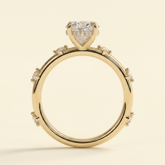 plain_02.png