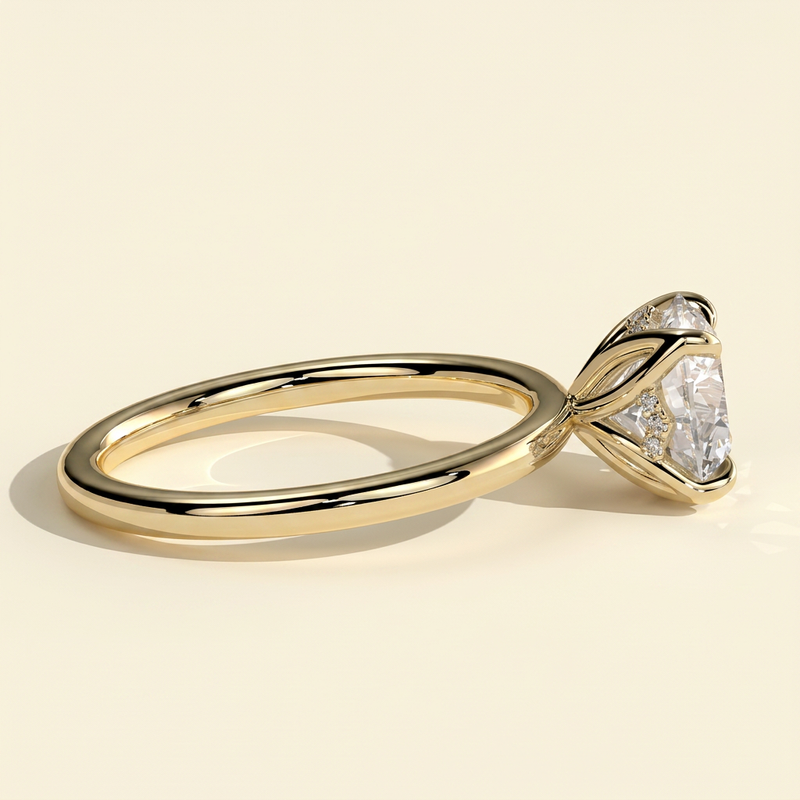 plain_04.png